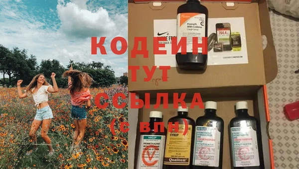 не бодяженный Заводоуковск