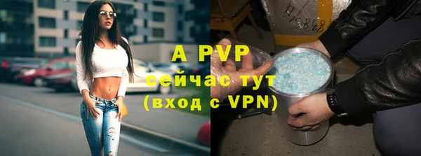 apvp Алзамай