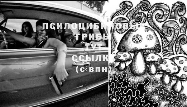 спайс Алексеевка