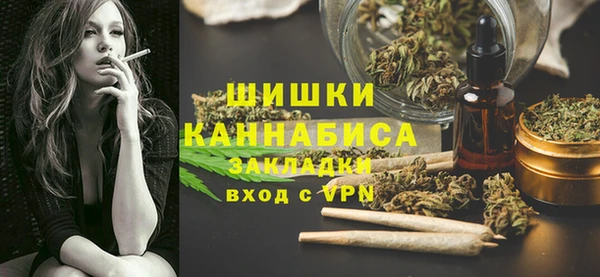apvp Алзамай