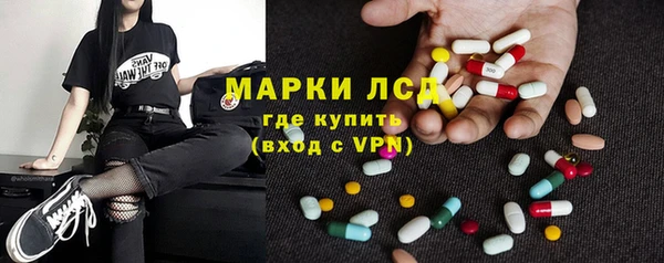 apvp Алзамай