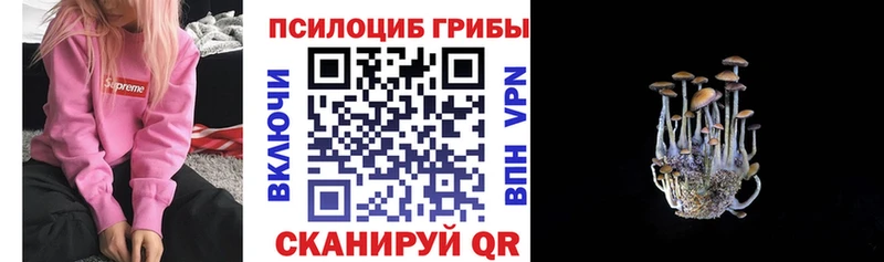 сколько стоит  Чебаркуль  Галлюциногенные грибы Magic Shrooms 
